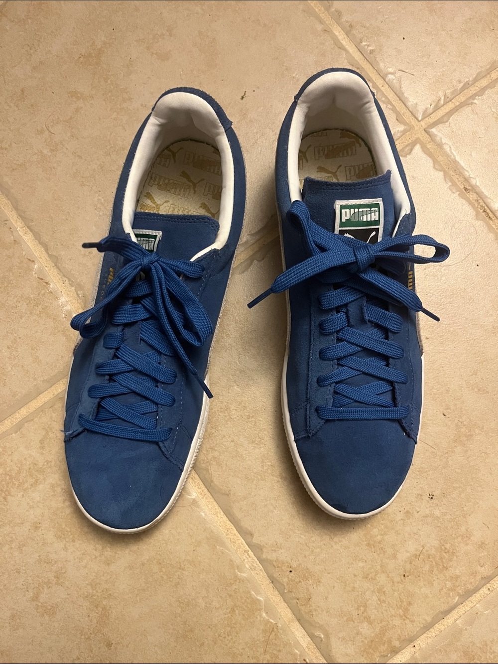 Puma Men's Royal Blue Suede Low-Top Sneakers